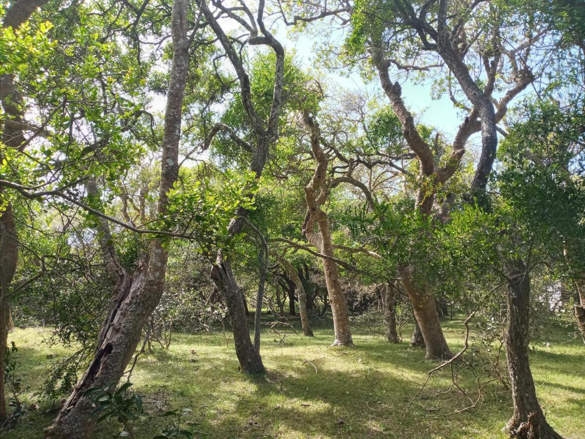 Вилла Casa De Campo Cerca Del Cabo Ринкон-де-лос-Оливерас Экстерьер фото
