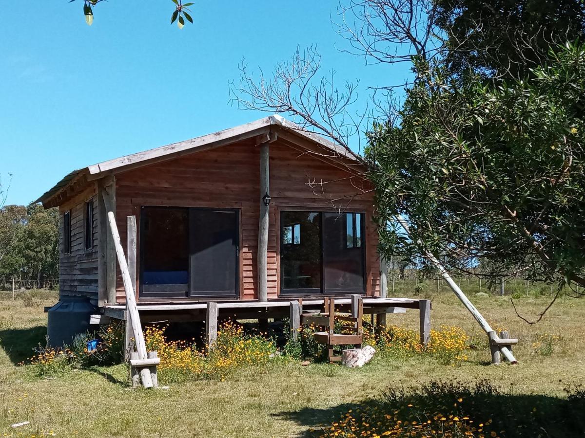 Вилла Casa De Campo Cerca Del Cabo Ринкон-де-лос-Оливерас Экстерьер фото